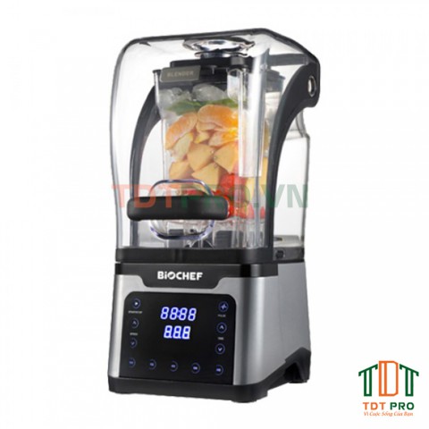 Máy xay sinh tố Biochef Big 2